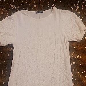 Zara shirt dress
